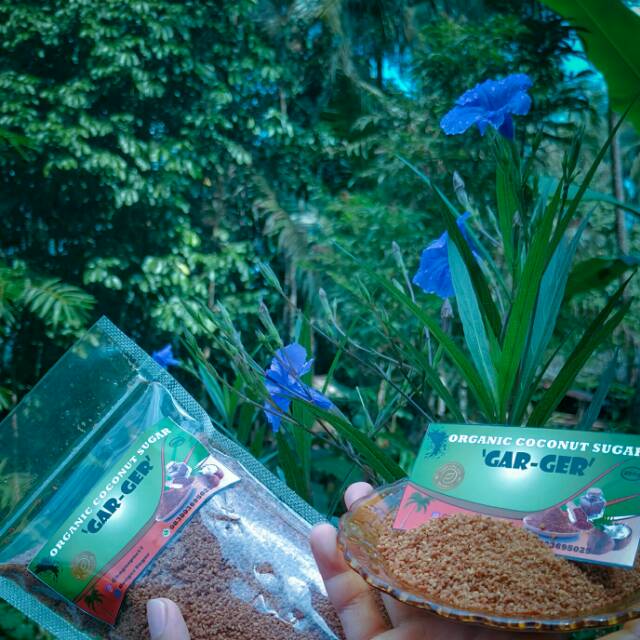 

GULA SEMUT KELAPA 100% ORGANIC MURNI !!! ORGANIC COCONUT SUGAR ANTI DIABETES!