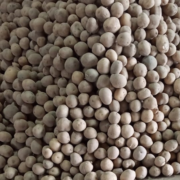 

[Bumi Mart] Kentang RENDANG / Baby | 1 KG