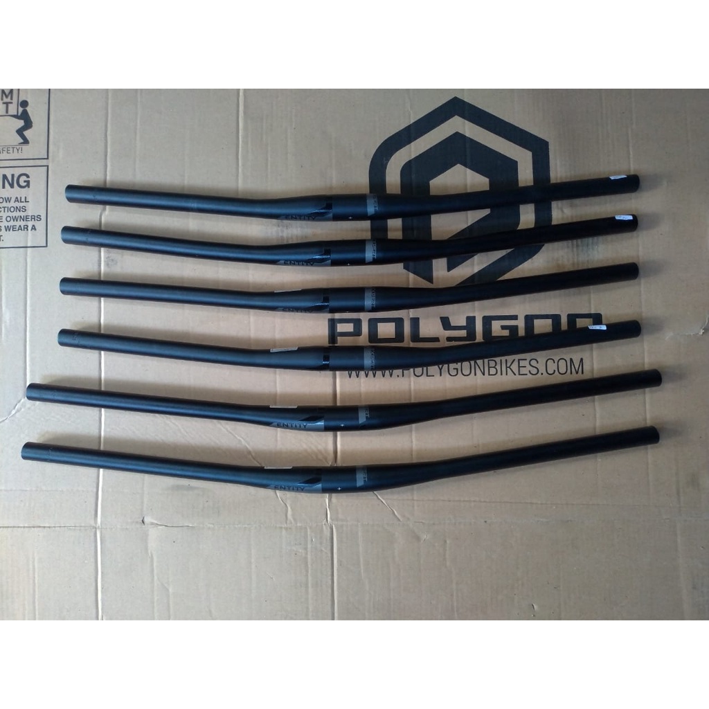 Handel Bar Stang Entity Expert