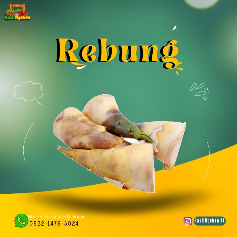 

REBUNG 250GR