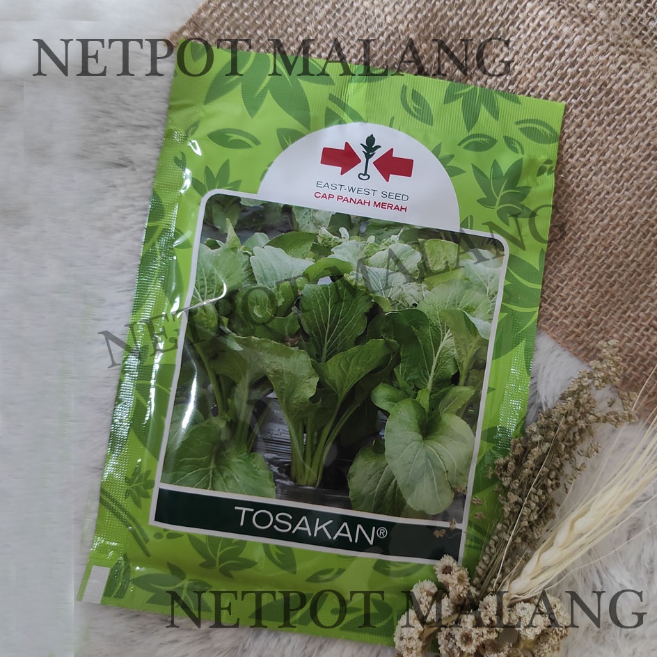 Jual Benih Sawi Hijau Tosakan Gram Cap Panah Merah Shopee Indonesia