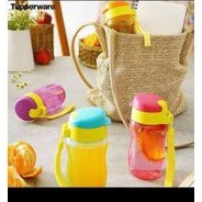 Eco bottle 310 ml (4)