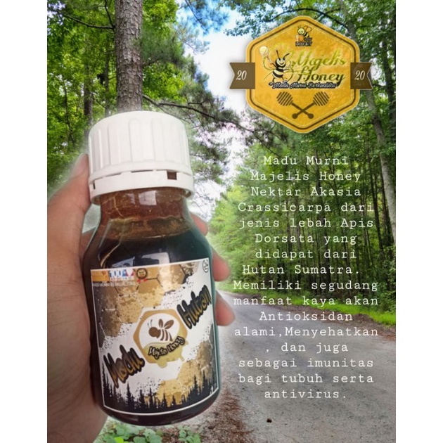 

Majelis Honey Madu Murni Hutan Sumatera Nektar Akasia Crassicarpa Apis Dorsata 350gr