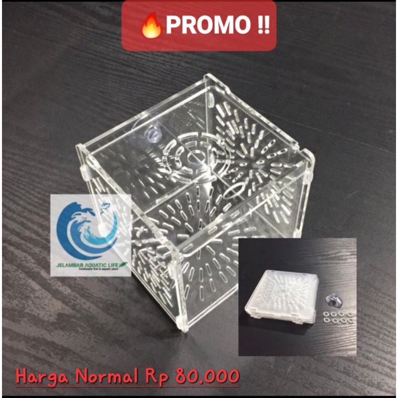 Box Karantina / Aklimasi Ikan dan Udang Hias Acrylic