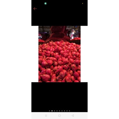 

bawang merah segar