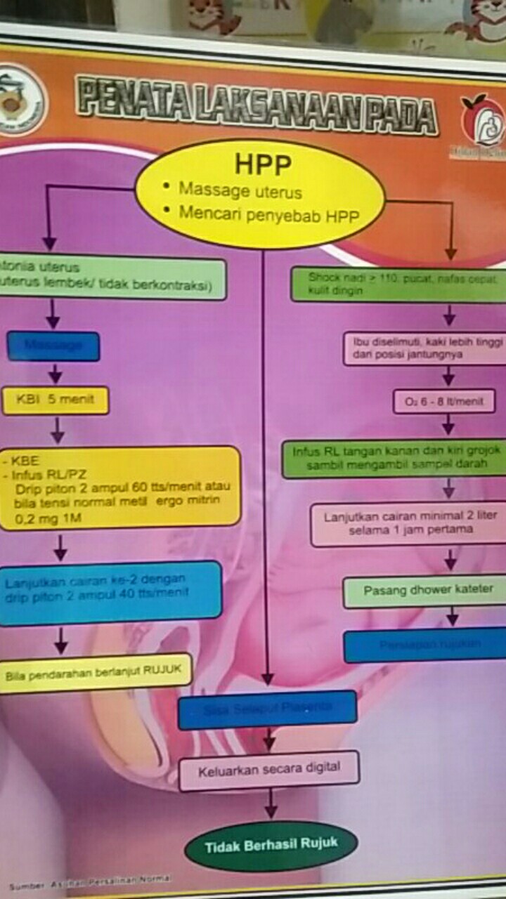 Poster Penatalaksanaan Pada Hpp