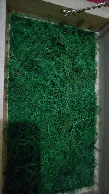 Kotak Uang Kayu Window Akrilik Untuk Seserahan/ Lamaran Kuk W