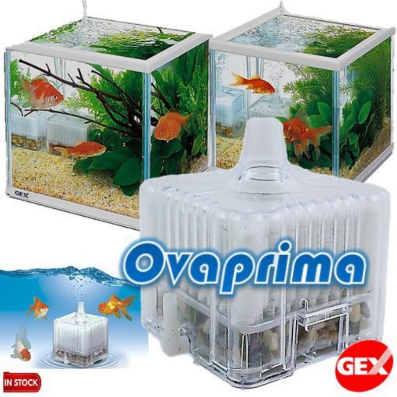 Filter Aquarium Model Kotak