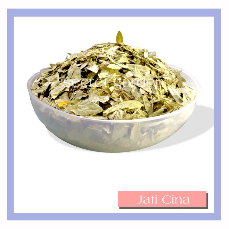 

Daun Jati Cina Premium 100 Gram - Teh Herbal Untuk Diet Dan Pelangsing By Secret Garden Store