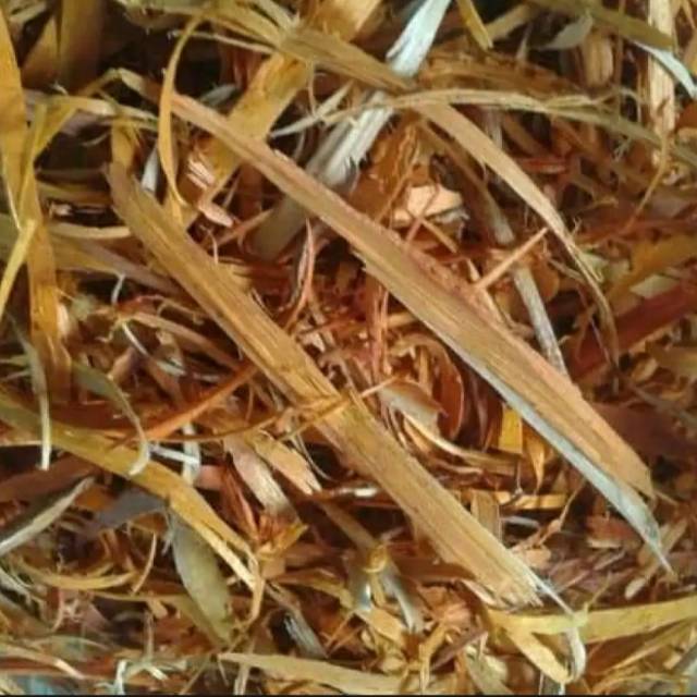 

kayu secang serut