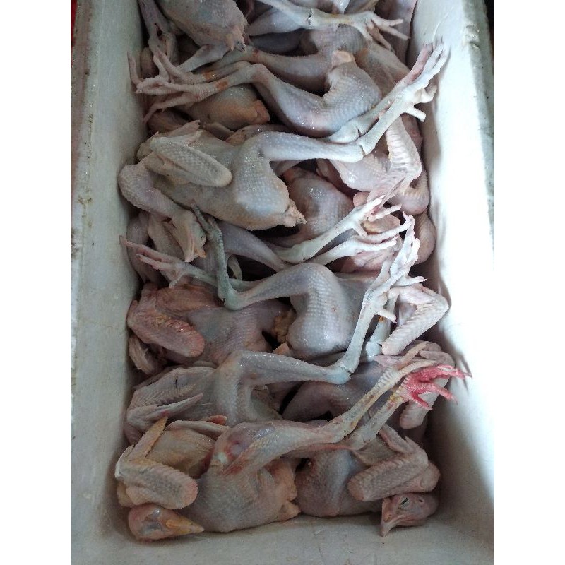 

Ayam Kampung Super Utuh