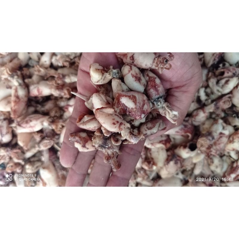 

CUMI BABY asin kering 250 gram cumi asin kering premium