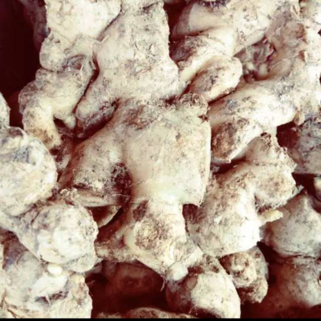 

Jahe 500 g