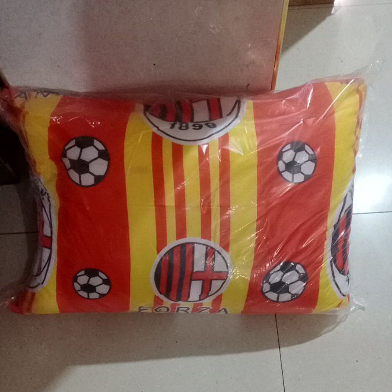 BIGLAND BANTAL PILLOW KARAKTER