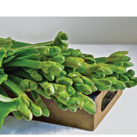 

Sayur Genjer 1ikat / 200gr By Sembakoe