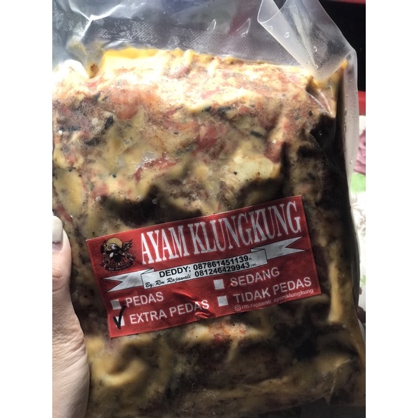 

AYAM KLUNGKUNG RAJAWALI