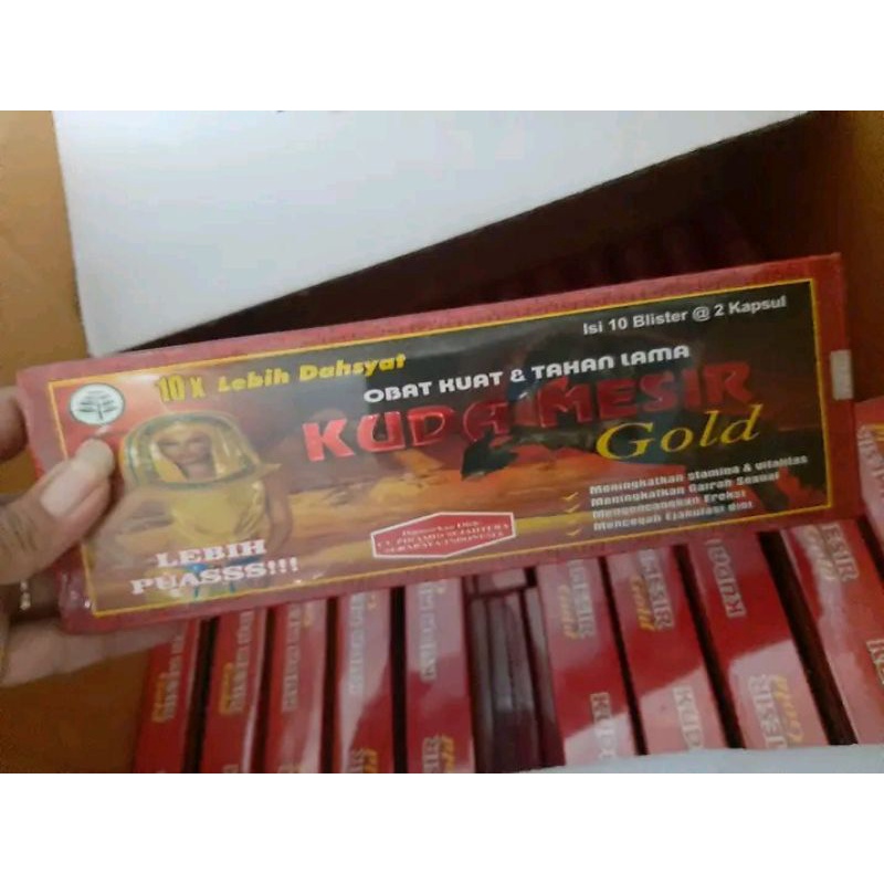KUDA MESIR GOLD BLISTER ORIGINAL