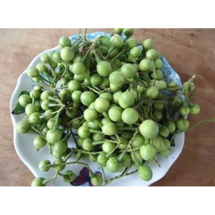 

Buah Cepokak atau Takokak Segar 1 Kg