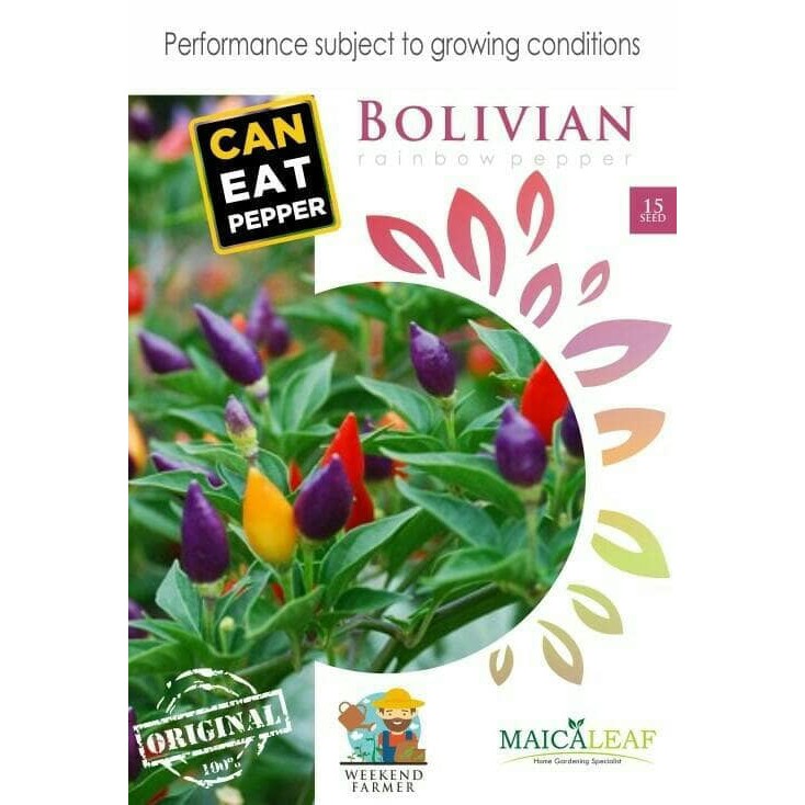 

Benih Cabai Rainbow Bibit Cabai Pelangi Cabai Warna Cabe Rainbow Diskon