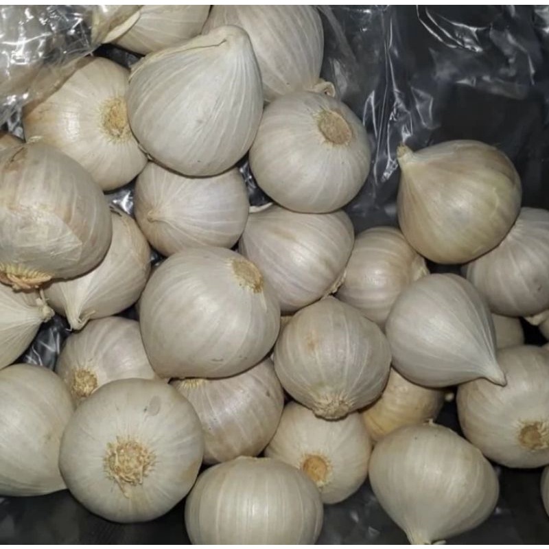 

Bawang Putih Tunggal Berat 500 g (Pengiriman Medan)