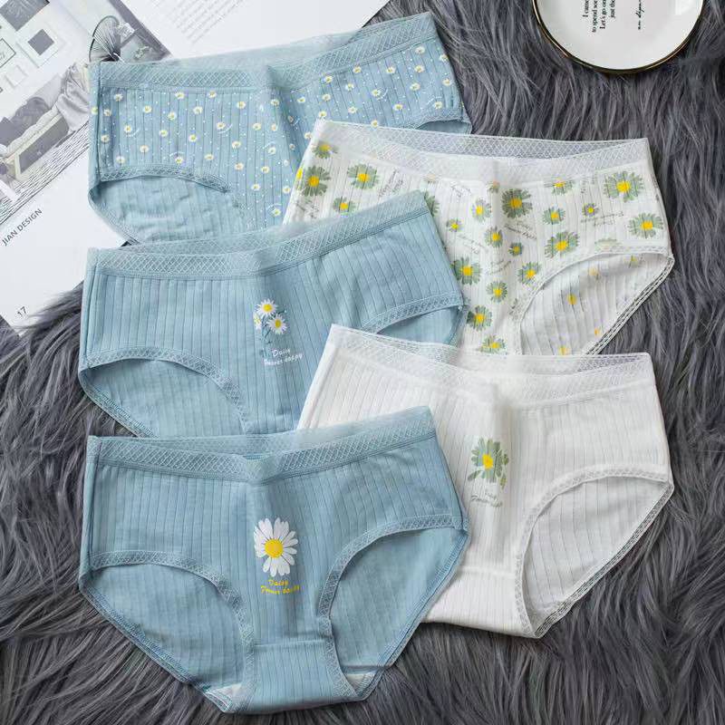 Celana dalam wanita C62 / Celana dalam wanita / Celana dalam wanita Import / CD Wanita