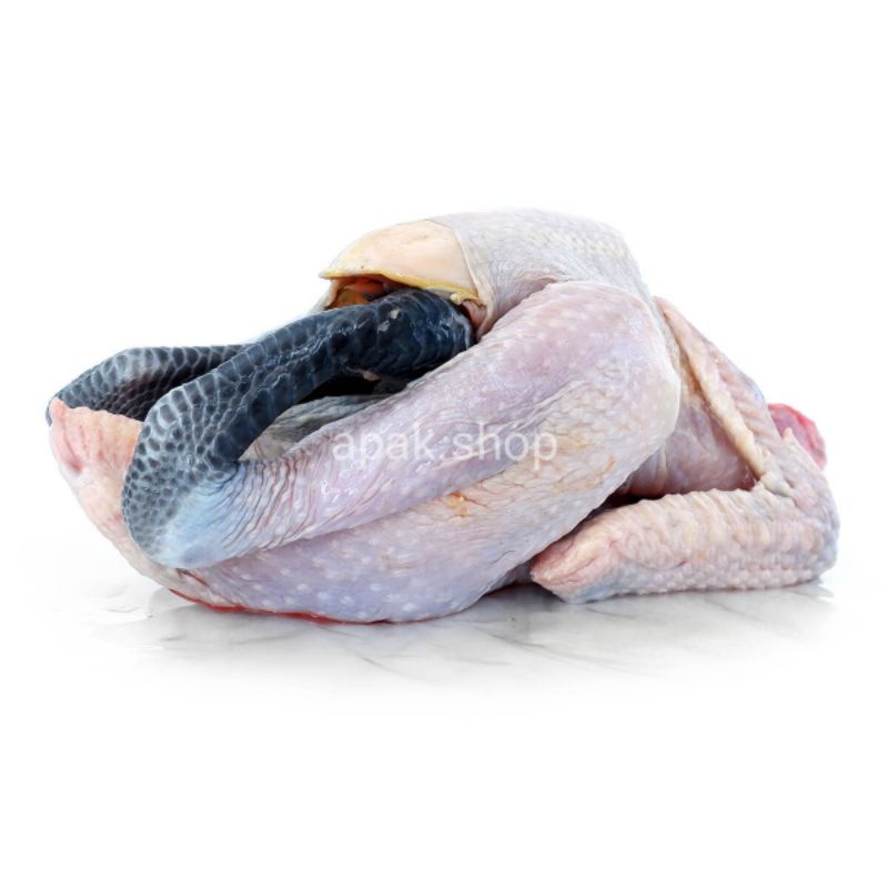 

1 Kg AYAM KAMPUNG