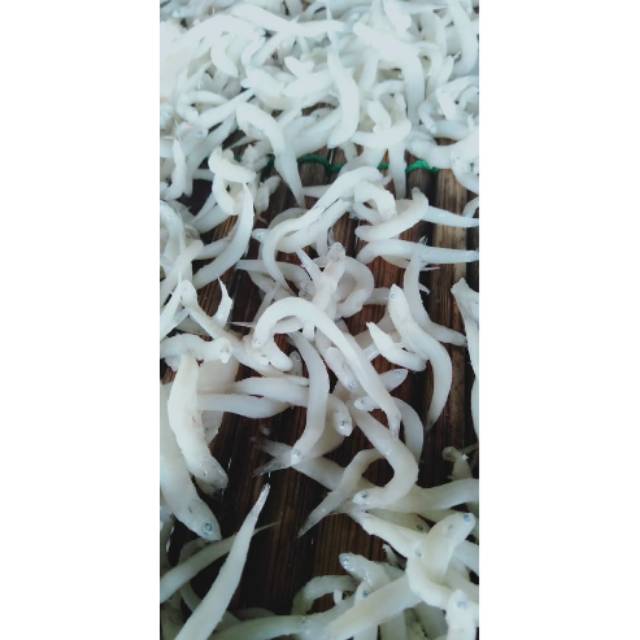 

Teri nasi