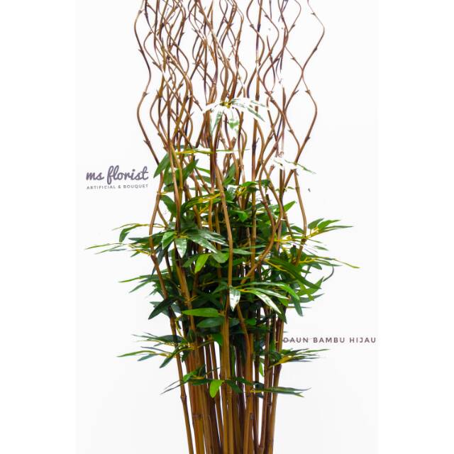Bambu Ulir Cendani Variasi Daun Bambu 10 Btg Shopee Bambu Ulir Cendani Variasi Daun Bambu 10 Btg Shopee