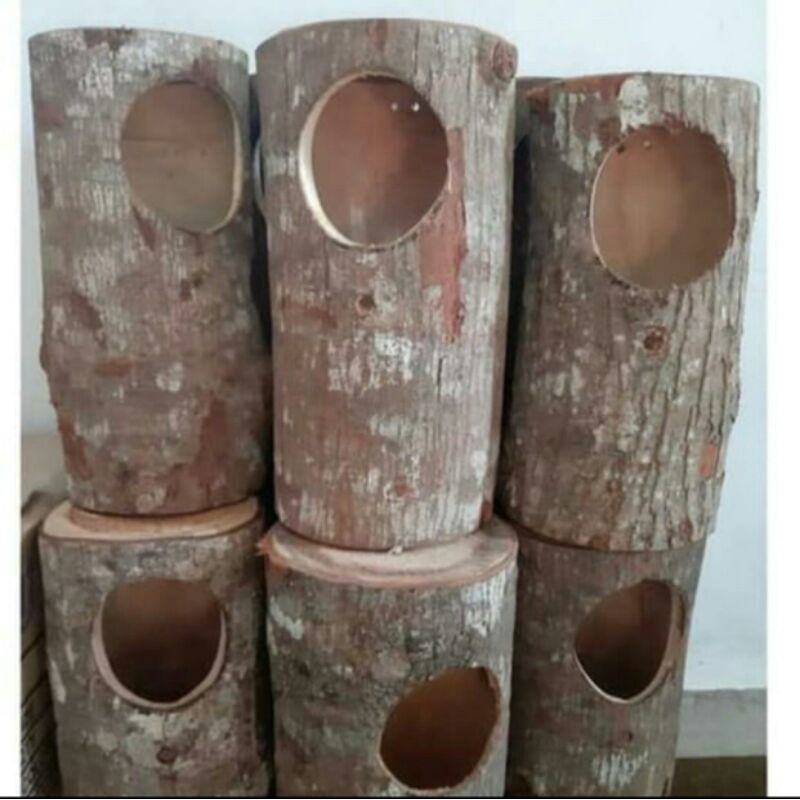 glodok murai batu murah