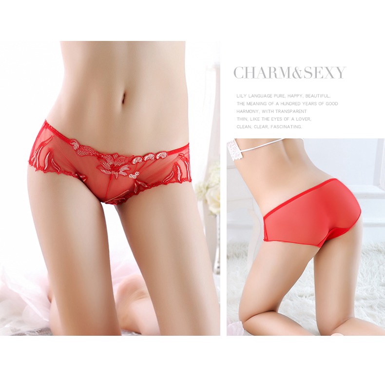 Celana Dalam Wanita Sexy Pola Bunga transparan Bordir Low Waist Celana Lingerie 3C173