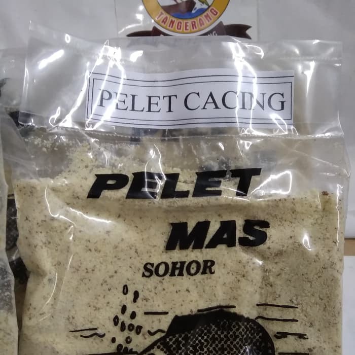 umpan pancing pelet cacing umpan mancing pelet ikan mas sohor