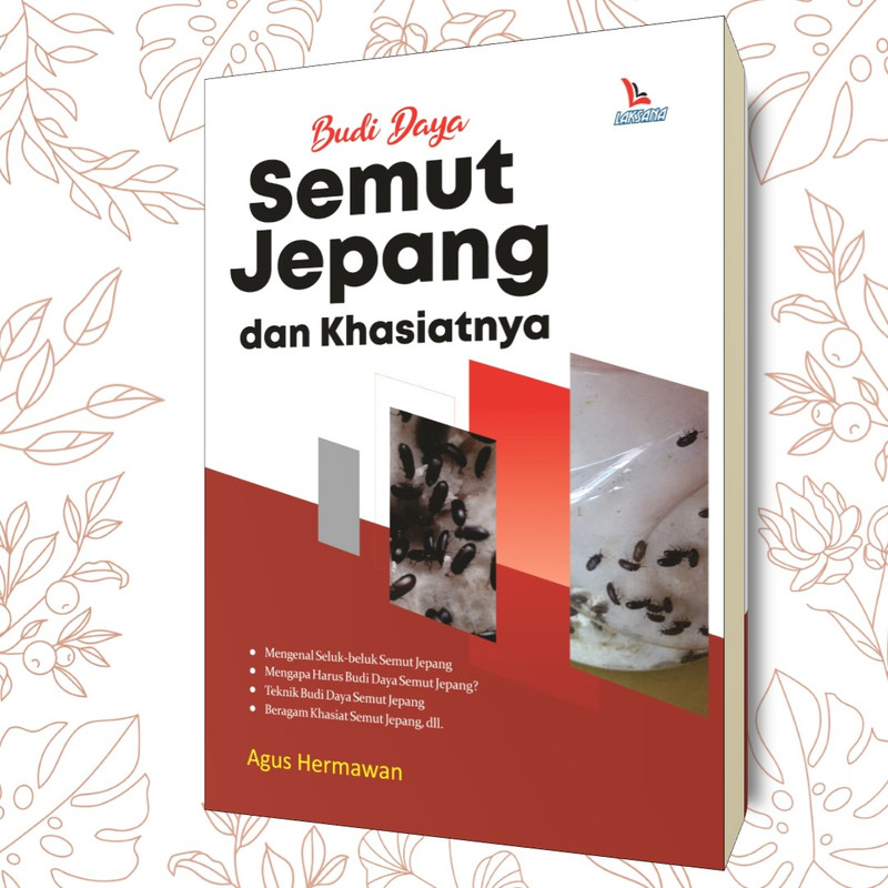 Budi Daya Semut Jepang dan Khasiatnya