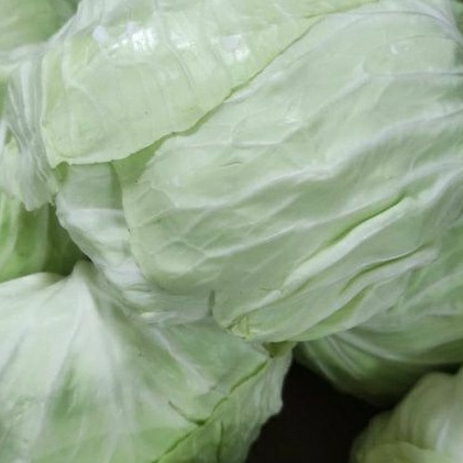 

Kol Putih 500gr