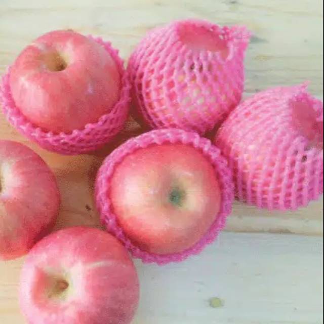 

Buah apel fuji 500gr