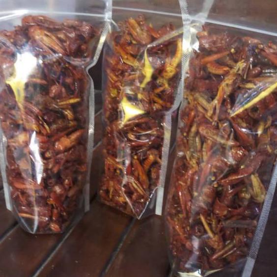 

Ada bonus Jika Beruntung Belalang/walang goreng kemasan ekonomis 50gr