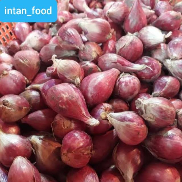 

Bawang merah fresh 250gr