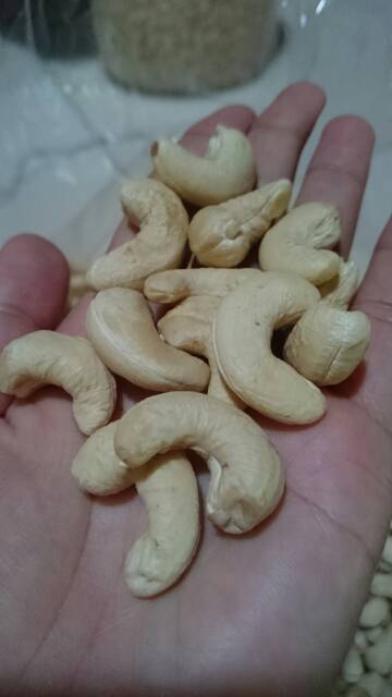 

Jual Kacang Mete Super Mentah murah