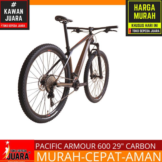 Sepeda Pacific Armour 600 Carbon Mtb 29 Inch