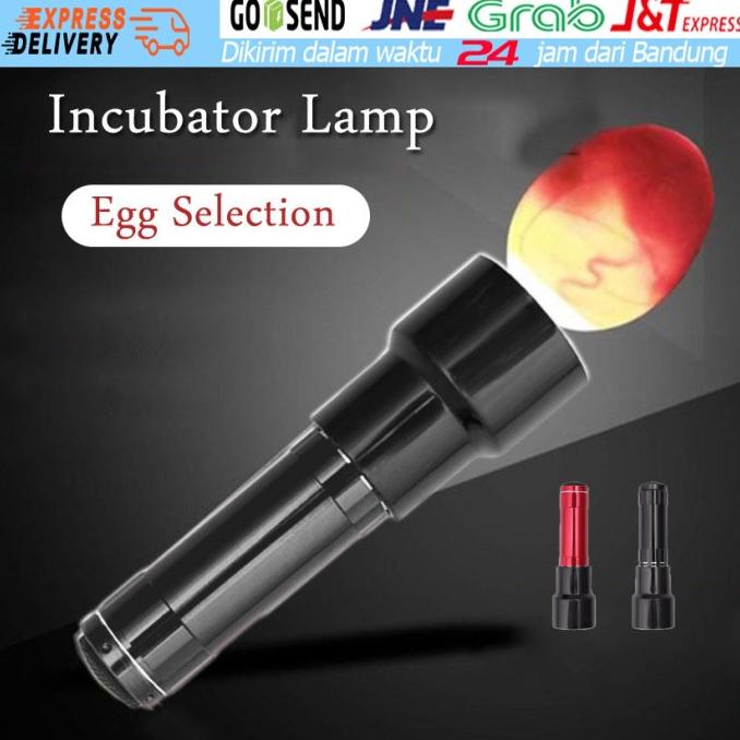 Lampu Senter Teropong Telur Inkubator utk Telor Ayam Burung Kacer EGG