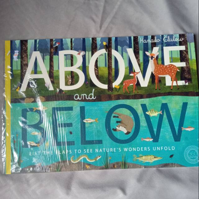 Buku import anak Above Below