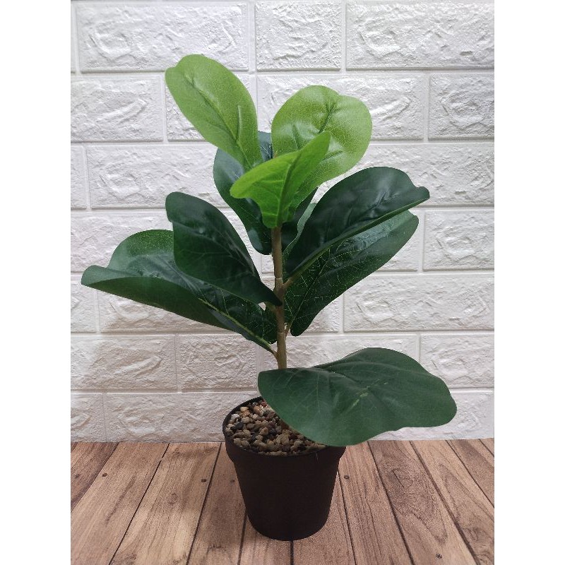DAUN KETAPANG BIOLA ARTIFICIAL UK42CM