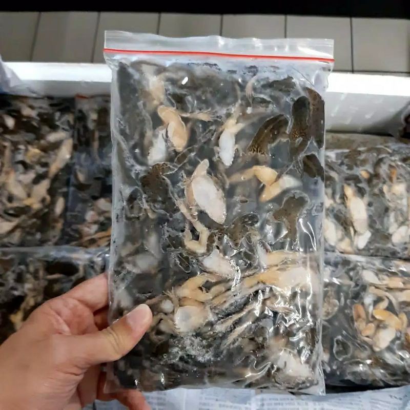 KODOK BEKU 1KG ES KATAK PAKAN MAKANAN IKAN ARWANA PREDATOR HIAS