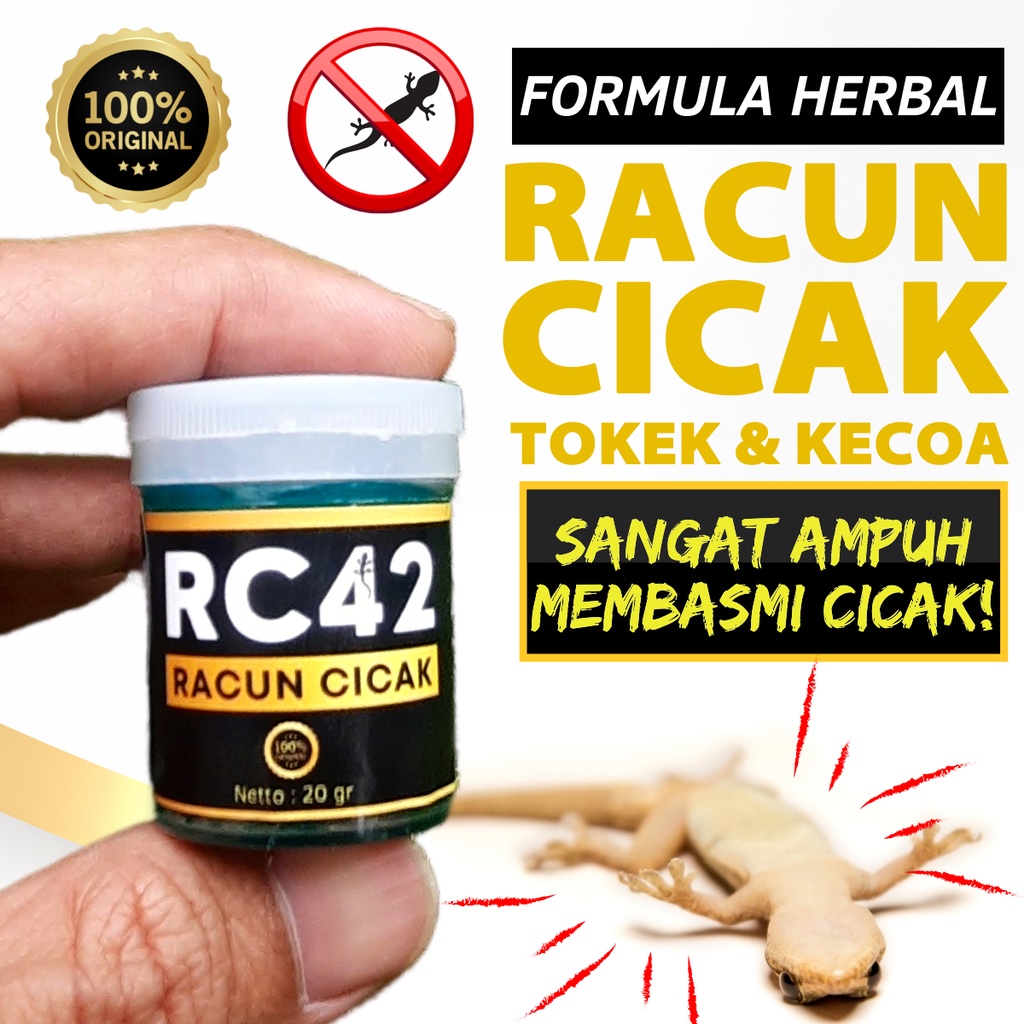 RC42 - RACUN CICAK KECOA dan TOKEK PALING AMPUH Formula Herbal Alami