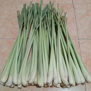 

sereh / serai fresh