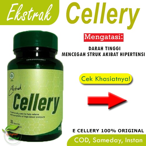 Ecellery Obat Darah Tinggi Hipertensi Ekstrak Cellery Kapsul Herbal Ampuh Terdaftar di BPOM