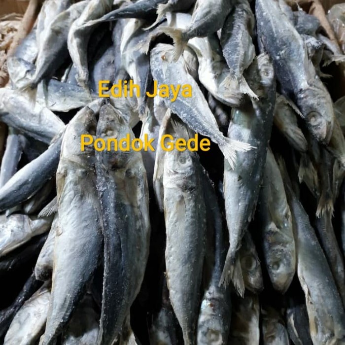 

Ikan Asin Japuh Layang Asin Net 1 Kg