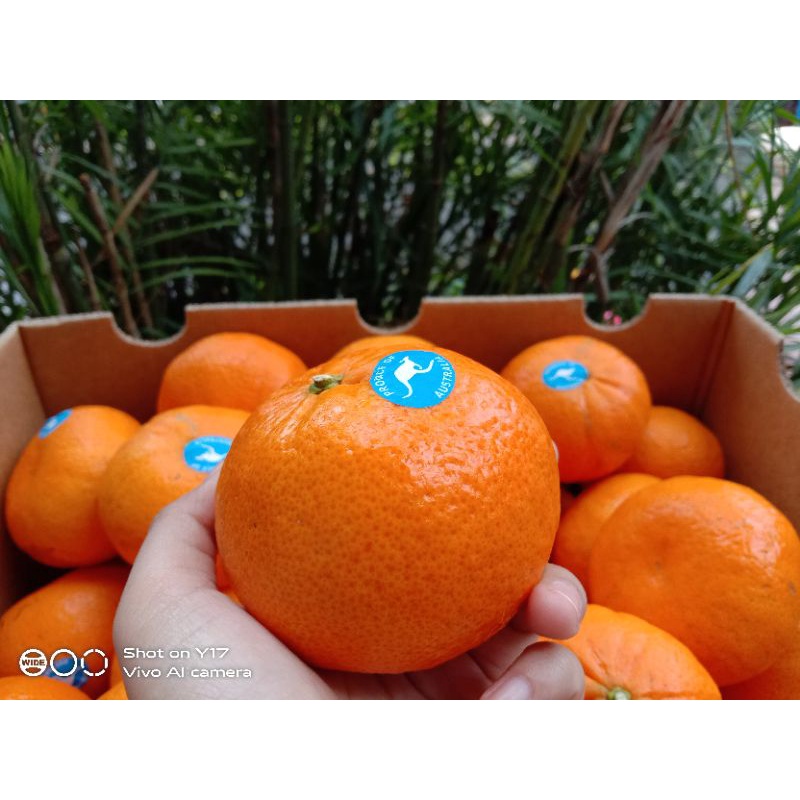 

jeruk honey murcot Import australia 1kg
