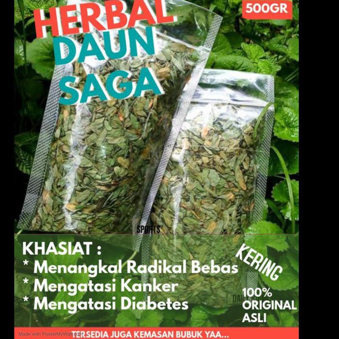 

Daun Saga Kering Asli 500gr | Mengobati Sariawan