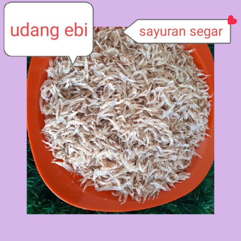 

EBI/UDANG KERING