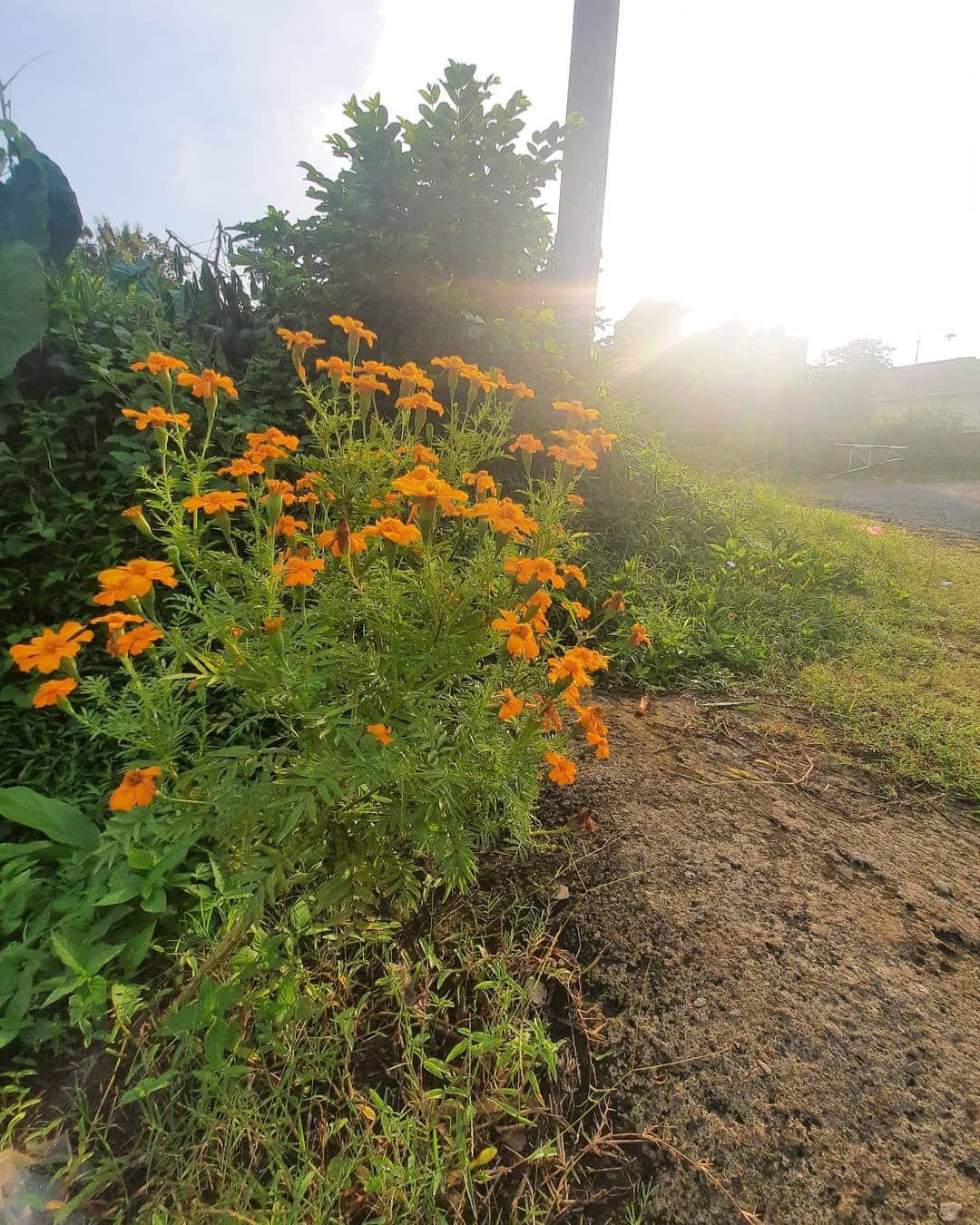 Welirang Hampers - Telenan Kayu, Spatula/sutil Kayu, Cobek Kayu, Ulekan Kayu
